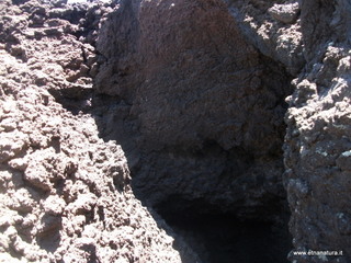 otta delle femmine di monte Nero-12-05-2013 11-50-06